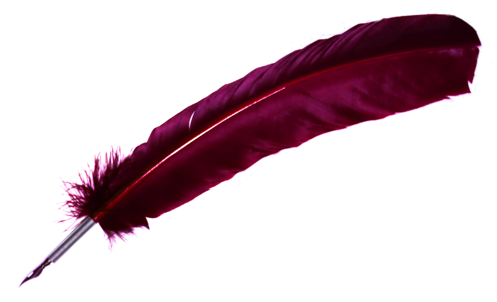 Quill Png 45570 | DFILES