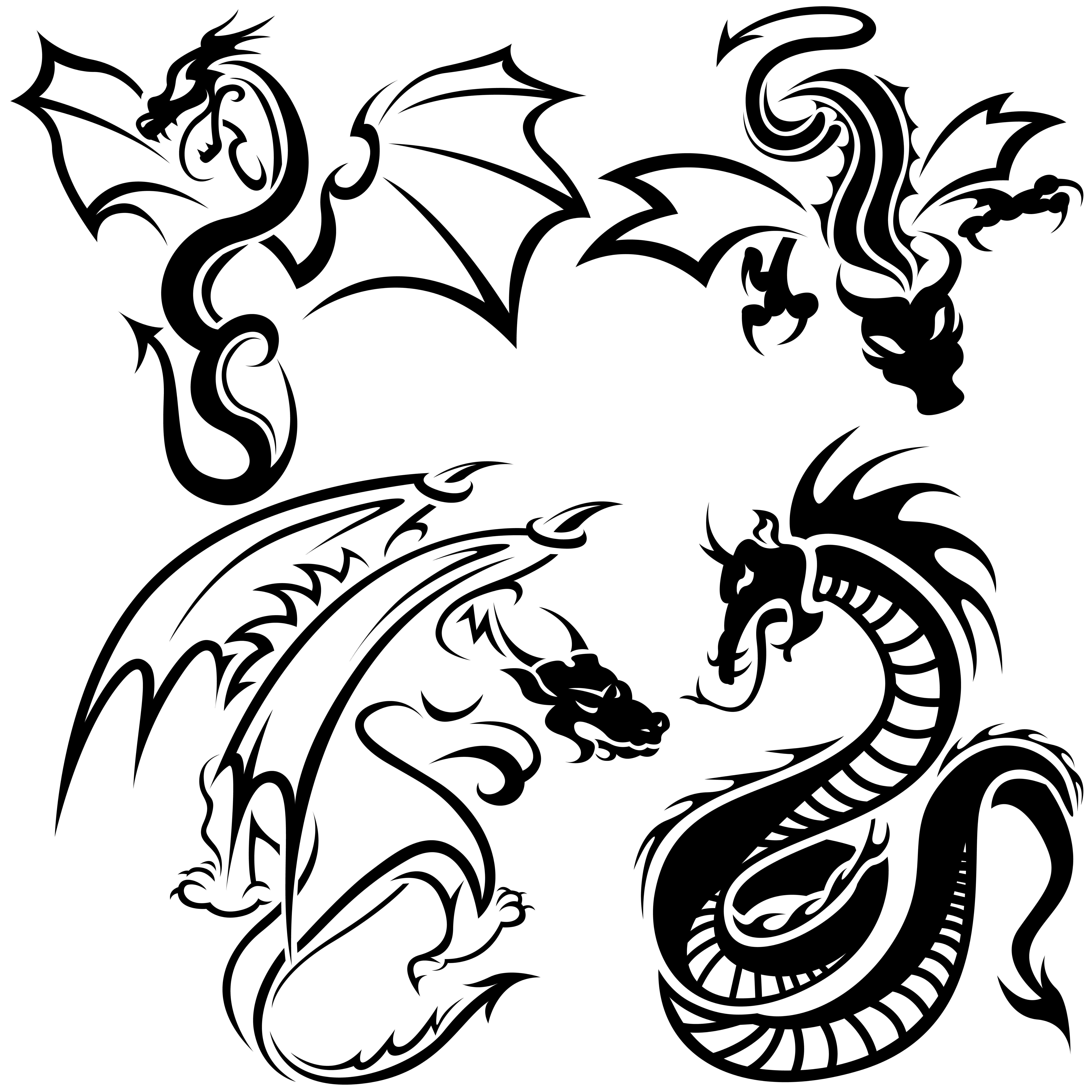 Tato Naga - ClipArt Best