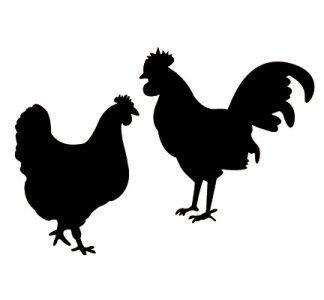 1000+ images about Stencil Designs | Stencils, Bird ...