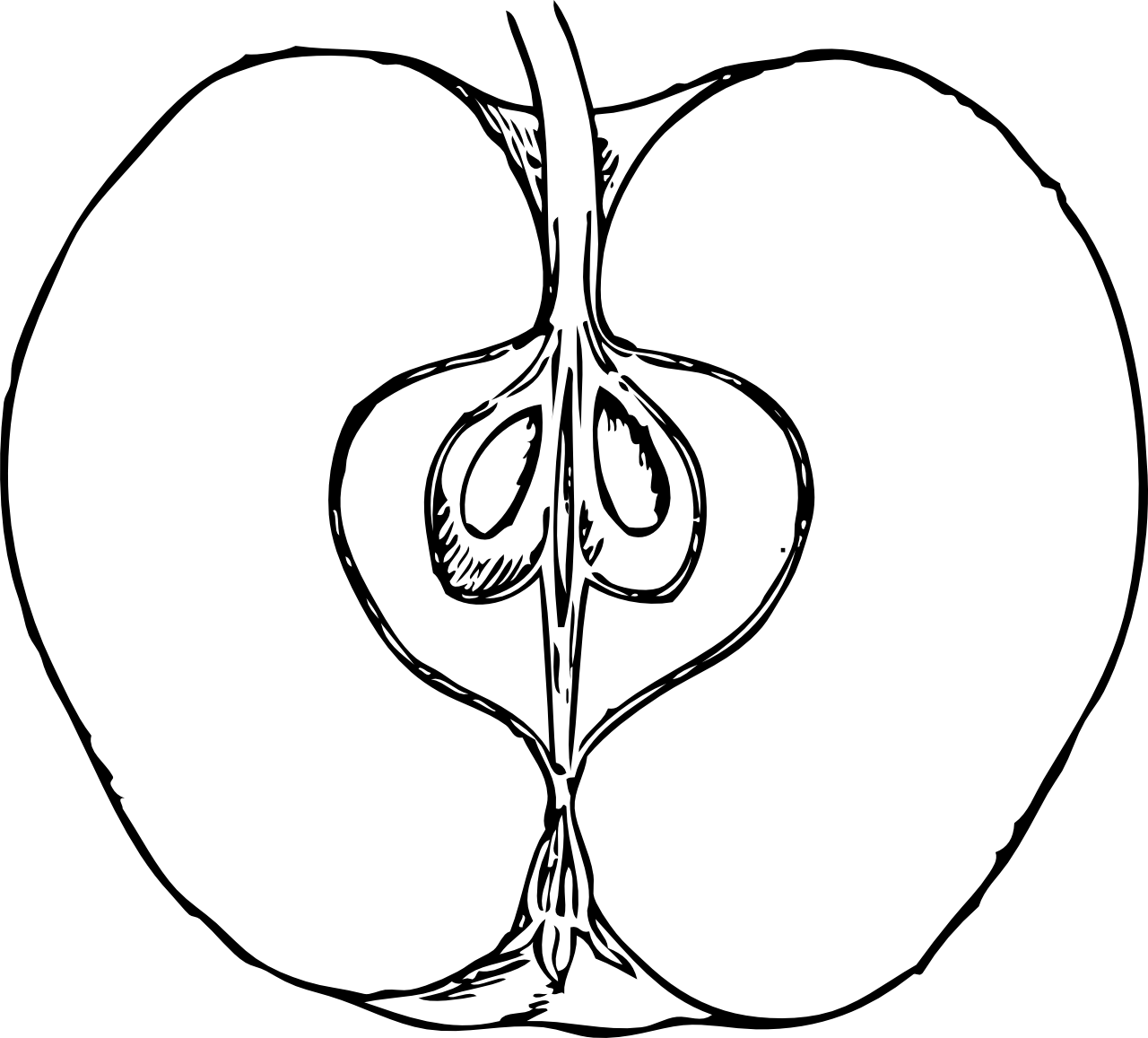 Apple Clipart Drawing