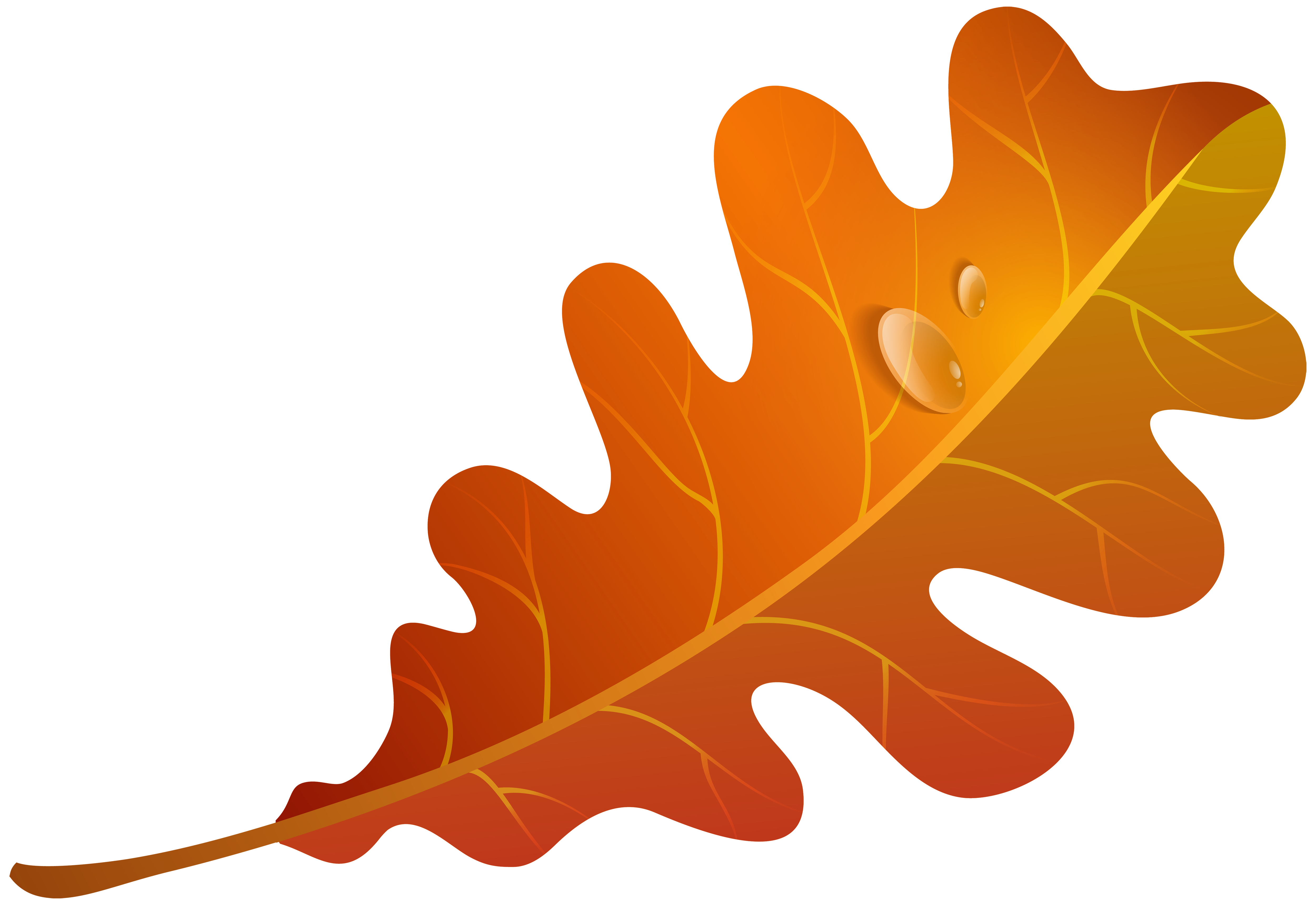 Orange leaf clip art clipart best