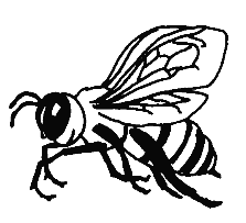 Bee Clipart