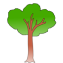 clipart-tree-dc89.png
