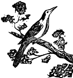 Mockingbird | ClipArt ETC