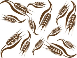 Wheat Free vector for free download about (232) Free vector in ai ...