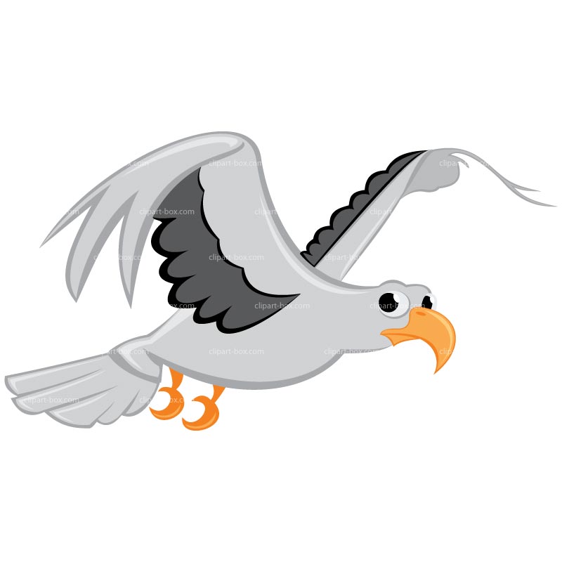 Seagull Clipart - Tumundografico