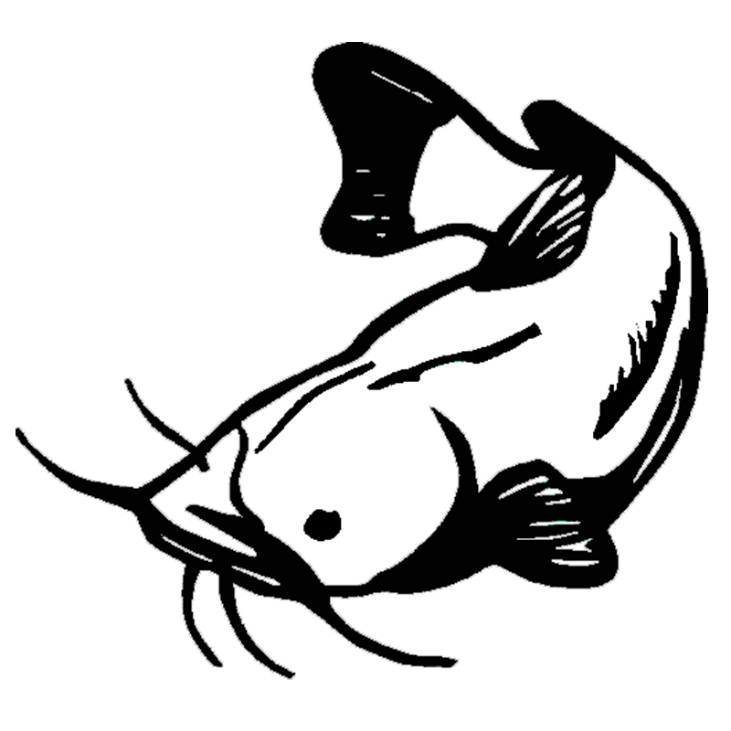Popular Cartoon Catfish-Buy Cheap Cartoon Catfish lots from China ...