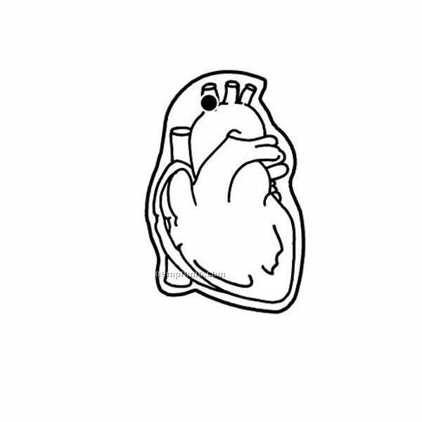 Human Heart Outline | Jos Gandos Coloring Pages For Kids