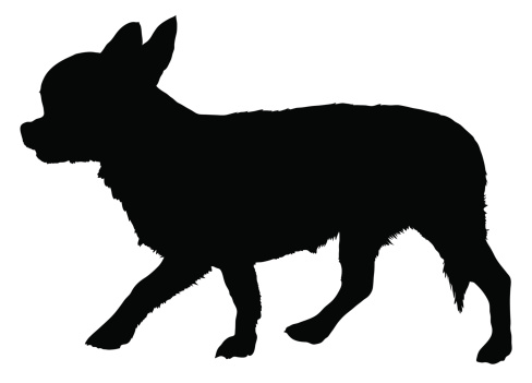 Clip Art Of A Chihuahua Dogs Clip Art, Vector Images ...