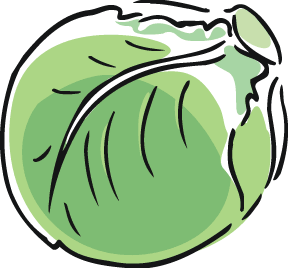 Lettuce Clipart