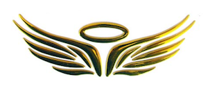 SeedInvest Halo: A Private Funding Platform for Your Angel Group ...