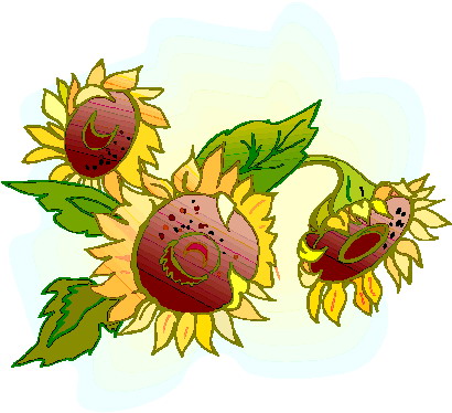 Sunflower Clip Art