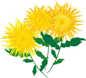 Mums Clipart