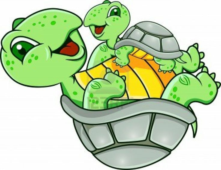 1000+ images about Turtle art