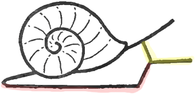 How to Draw Snails with Simple Step by Step Drawing Instructions ...