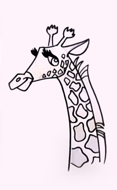 Cartoon Giraffe | Cartoon Cow ...