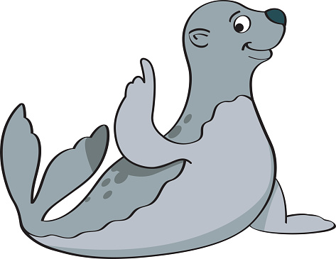 Sea Lion Clip Art, Vector Images & Illustrations