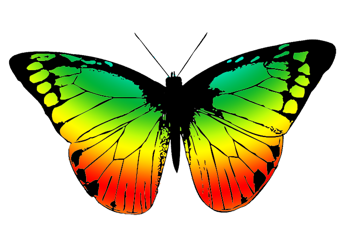 Butterfly Clipart