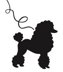 Poodles, Circles and Skirts