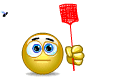 funny-fly-swatter-smiley- ...