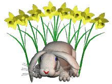 3D Animated Rabbits. Unusual original gif animations