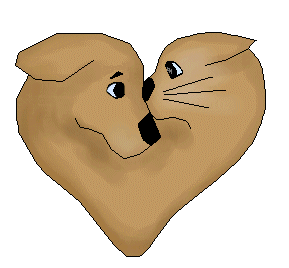 Dogs and Cats Together Page 3 - Dogs and Cats Together