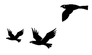 silhouette - Word Information