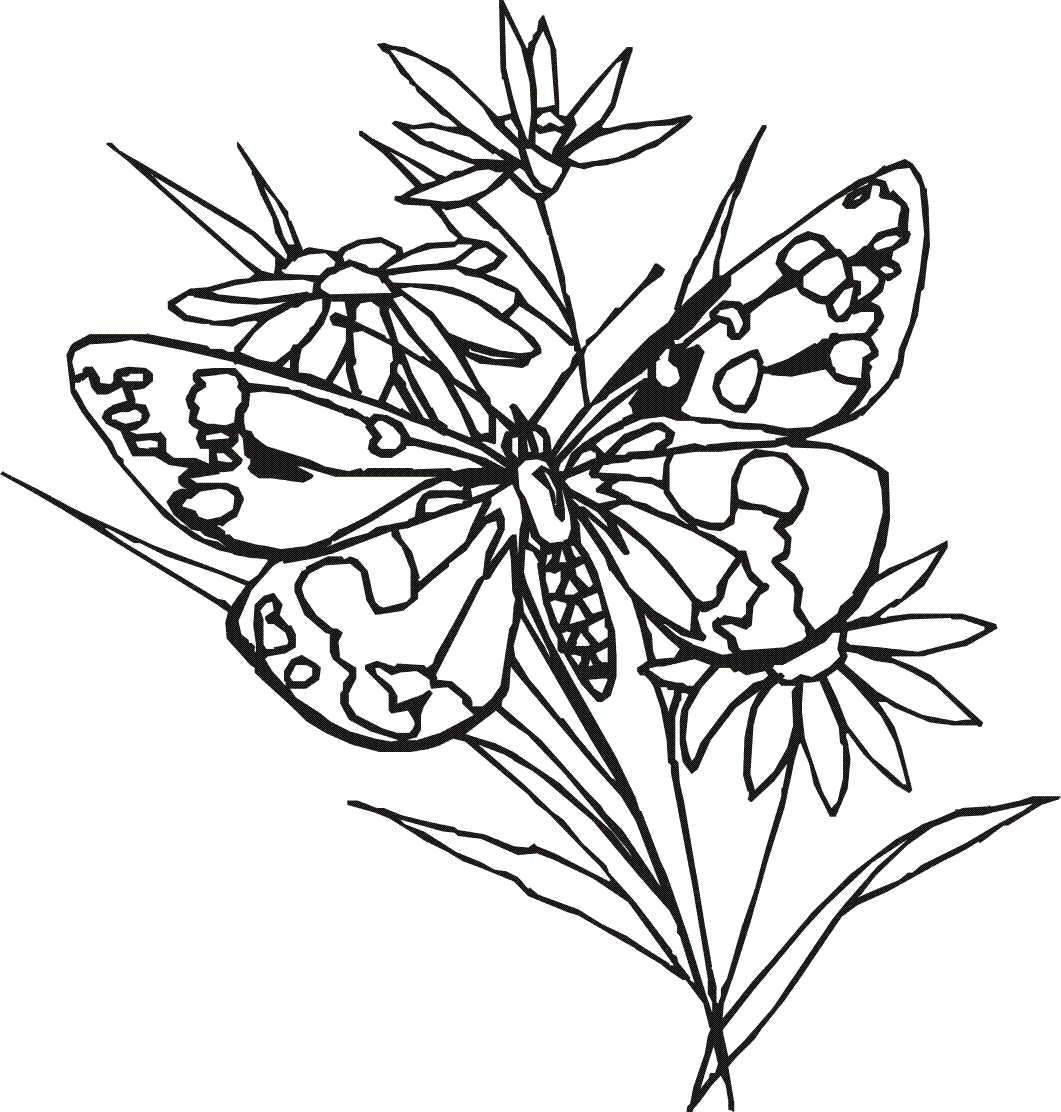 Butterfly Resting On A Twig Flower Coloring Pages - Butterflies ...