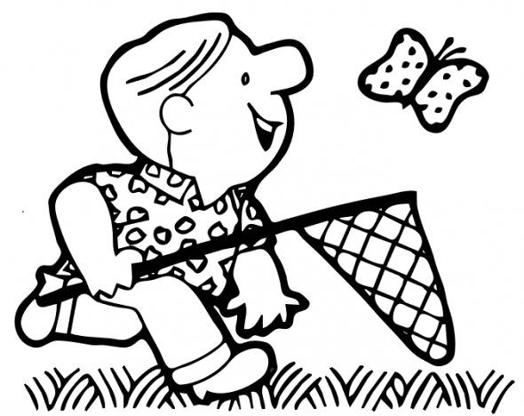 butterfly life cycle clip art image search results