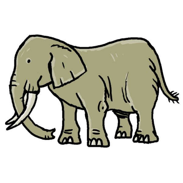 Elephant For Kids To Colour