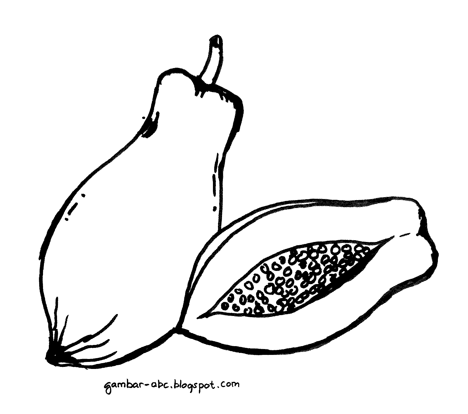 Mewarnai Buah Pepaya - Contoh Gambar Mewarnai