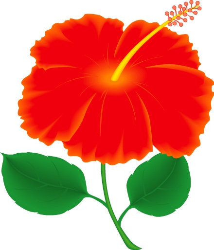 Gumamela Flower Clipart