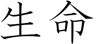 Life Symbol Japanese 64233 | DFILES