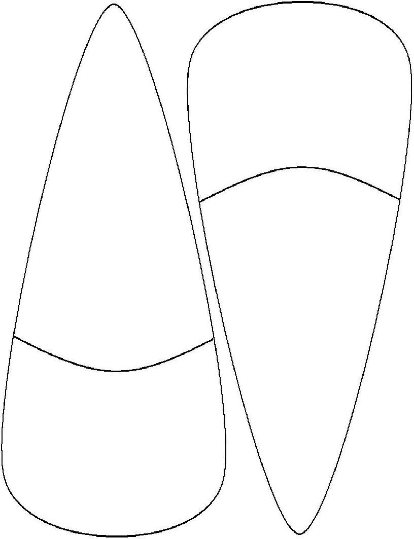 Turkey Feather Clipart