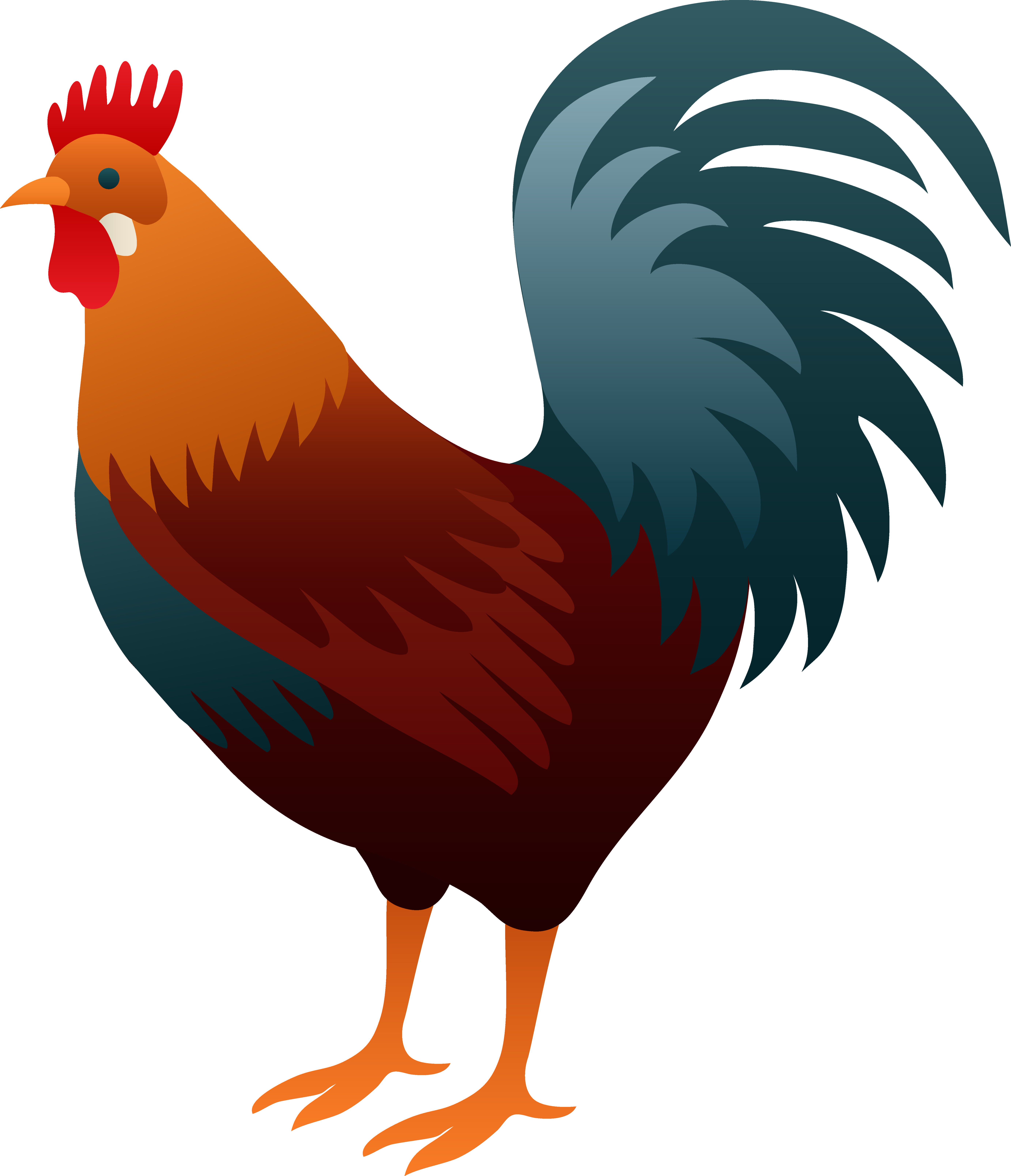 Rooster Images Clip Art Clipart - Free to use Clip Art Resource