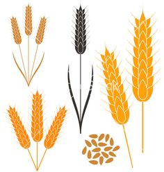 Wreaths, Black wreath and Vector clipart