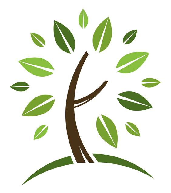 Landscaping Tree Clipart