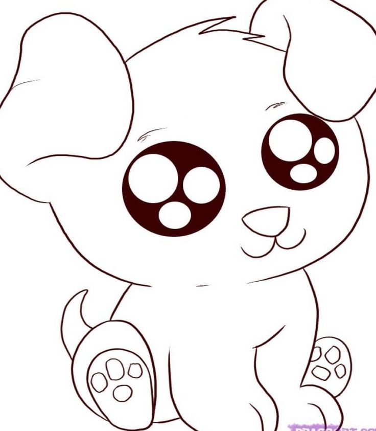 1000+ images about puppy drawings