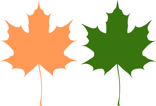 Green maple leaf clipart - ClipartFox