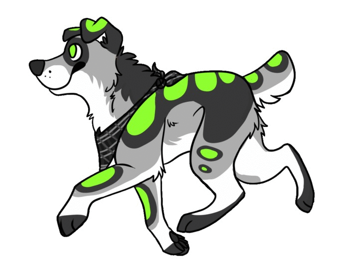 Rainbow Dog Adopt (animated)