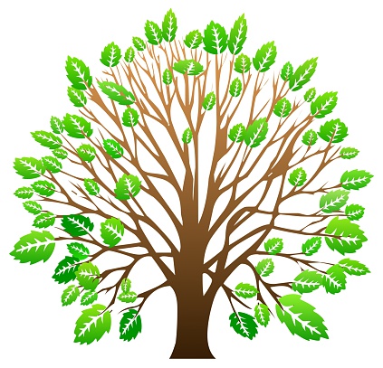 Hornbeam Clip Art, Vector Images & Illustrations