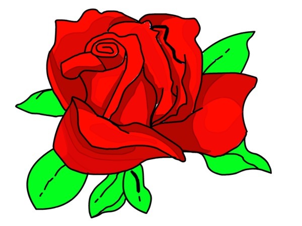 Roses cartoon images