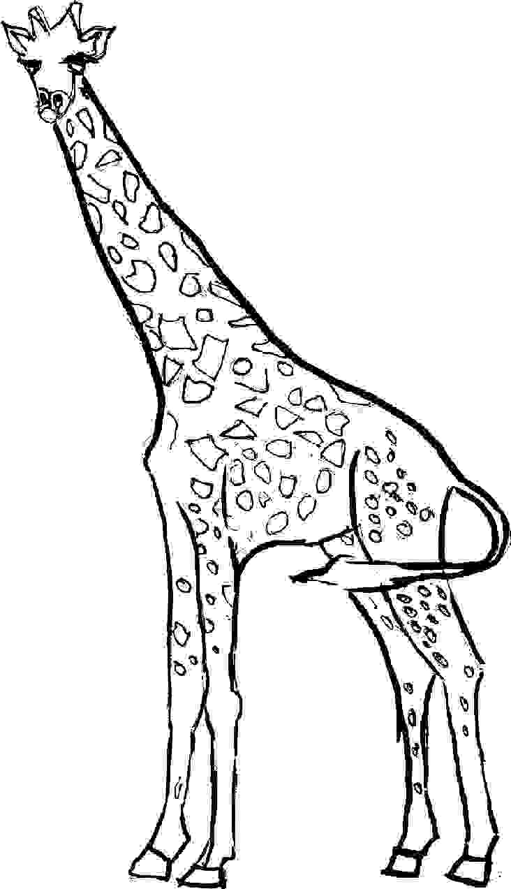 Giraffe colouring printable Association Herisson Bleu - Index