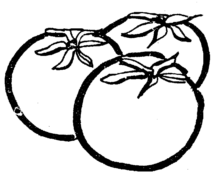 Tomato Black And White Clipart