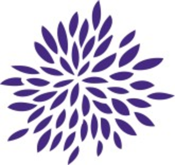 Modern Flower Burst Clipart