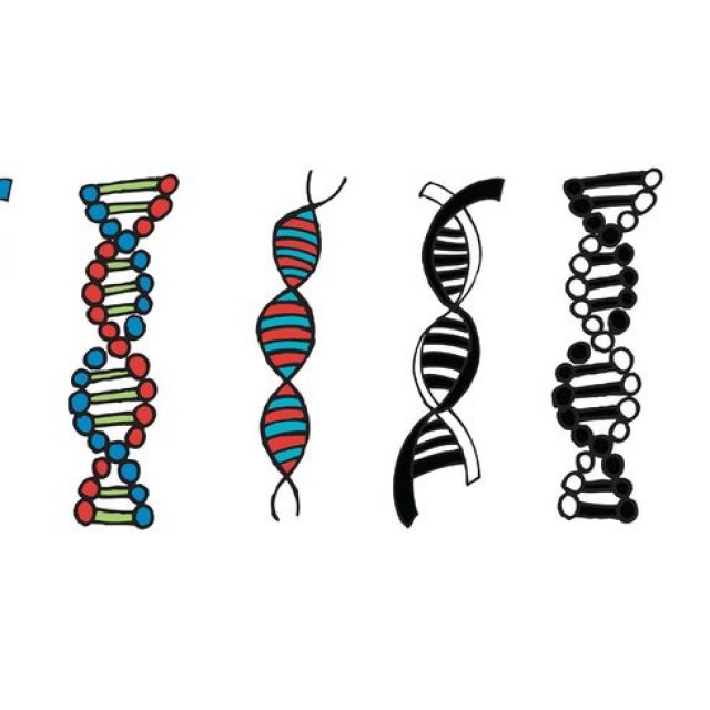 Helix Archives | My Graphic Hunt