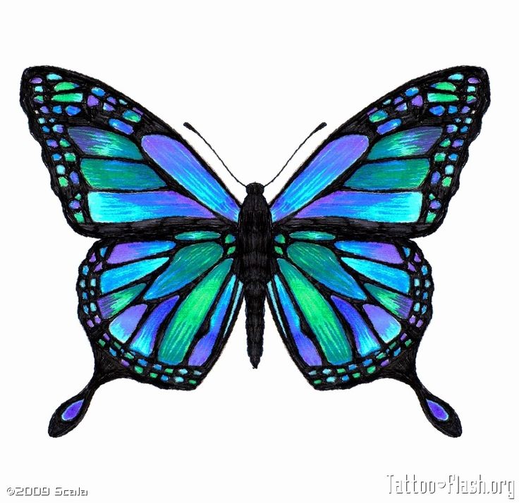 Butterfly Drawing | How To Draw ...