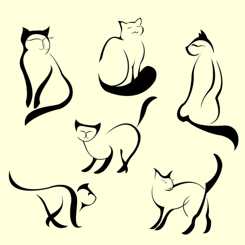 1000+ images about Siamese cat tattoo.