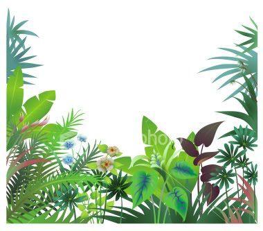 18+ Rainforest Border Clip Art