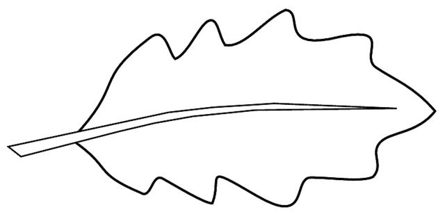 Leaf outline 0 ideas about leaf template on templates flower clip ...
